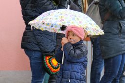 Faschingsumzug 2023 (Fotos Rochus Hetzendorfer)